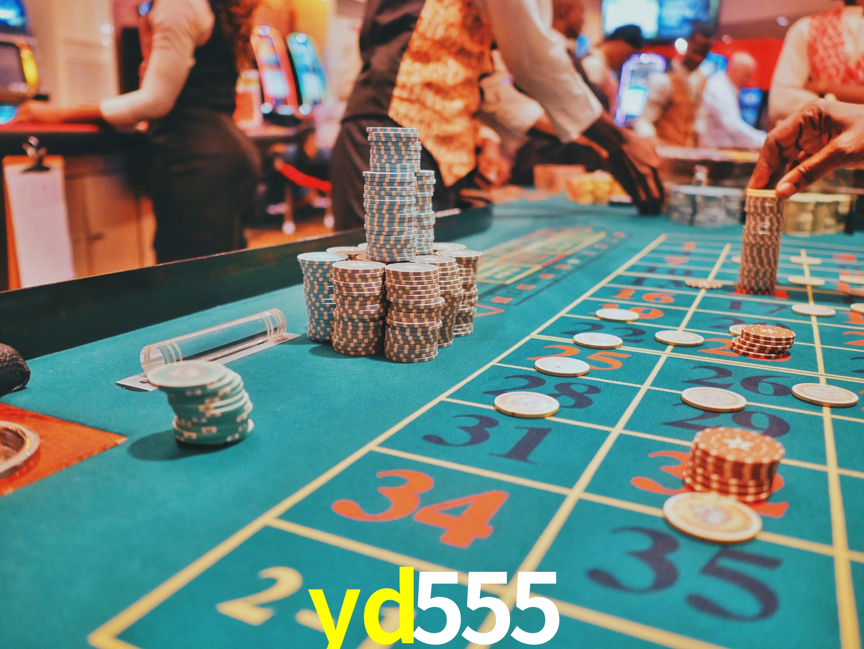Casino VIP yd555